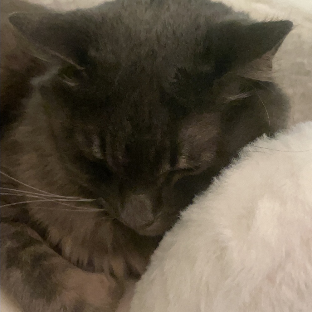 Meet your Posher, katelyn